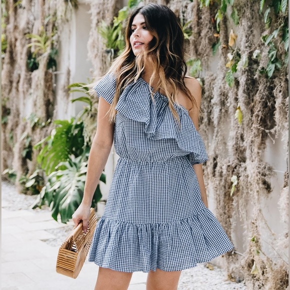 Mink Pink Wanderer Gingham Stripe One-Shoulder Dress With Frill Size M - Picture 6 of 12